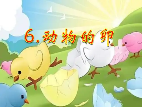 四年级下 动物的卵教科版实用PPT (共21张PPT)