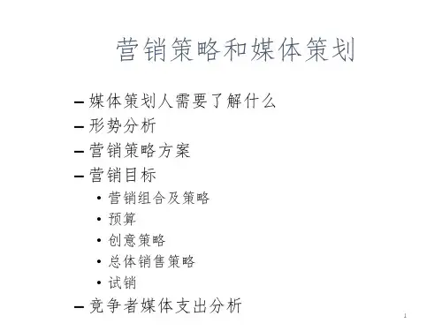 广告媒体研究之营销策略和媒体策划(课堂PPT)