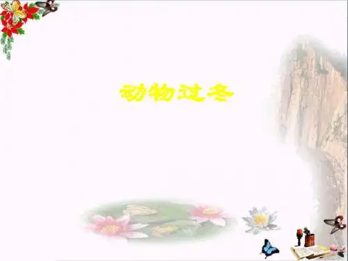 二年级语文上册动物过冬ppt课件2浙教版