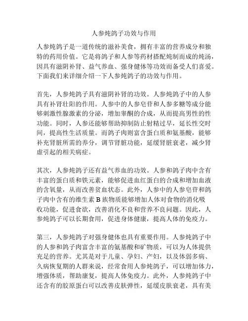人参炖鸽子功效与作用