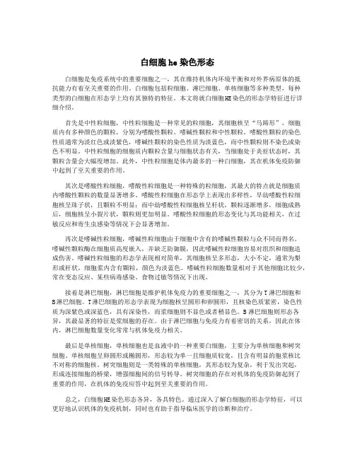 白细胞he染色形态
