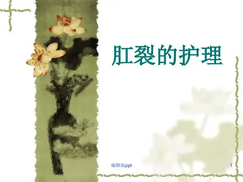肛裂的护理PPT课件
