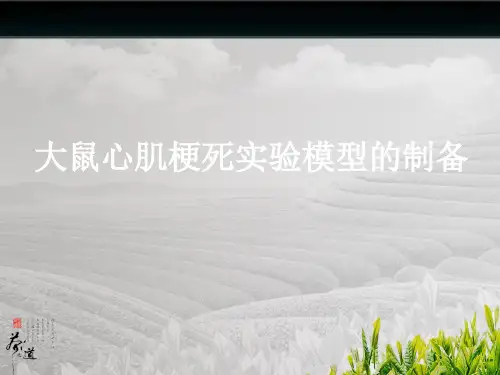 急性大鼠心肌梗死实验模型的制备