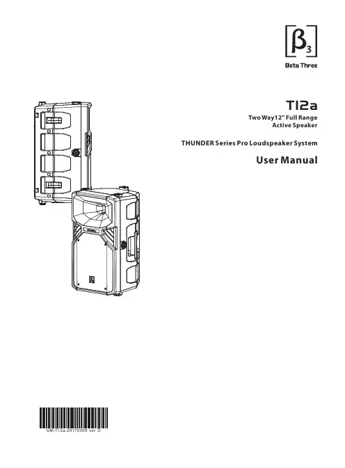 Two Way12 全频率激活音箱 THUNDER 系列专业朋克系统音箱 用户手册说明书