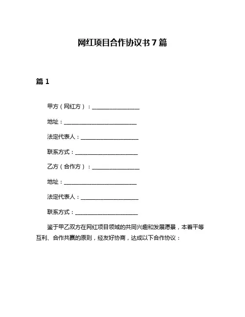 网红项目合作协议书7篇