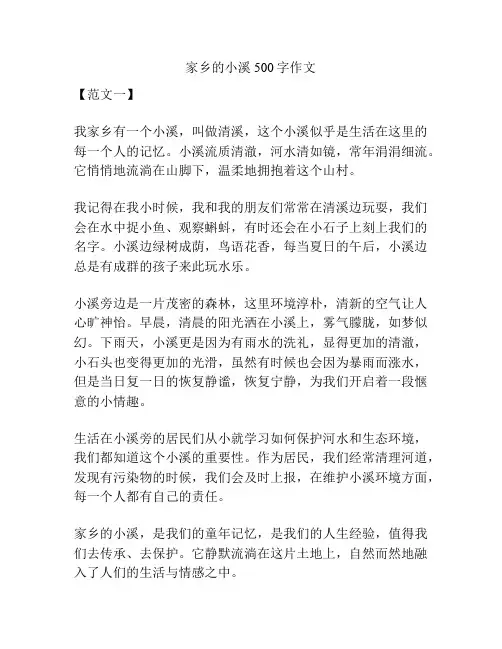家乡的小溪500字作文