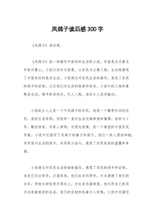 凤鸽子读后感300字