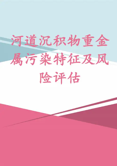 河道沉积物重金属污染特征及风险评估