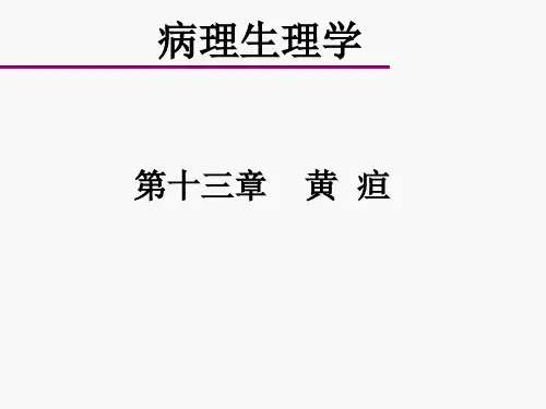 病理生理学ppt课件-第十三章--黄--疸