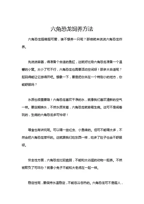 六角恐龙饲养方法