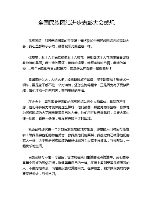 全国民族团结进步表彰大会感想