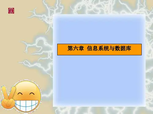 第六章 信息系统与数据库