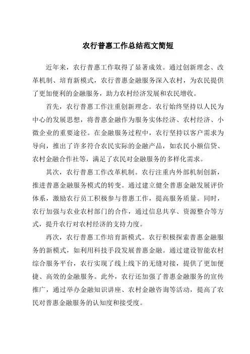 农行普惠工作总结范文简短