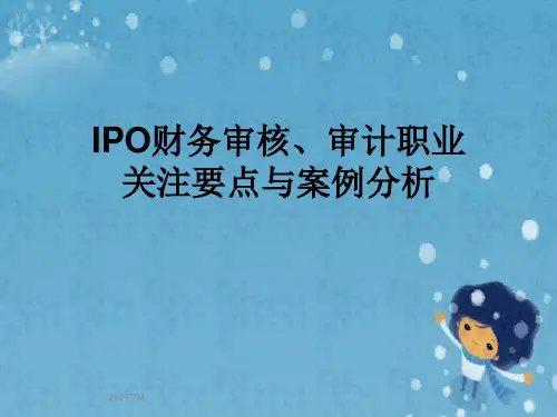 IPO财务审核、审计职业关注要点与案例分析