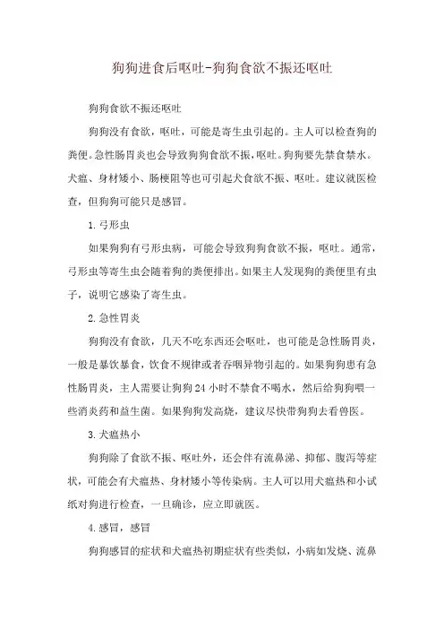狗狗进食后呕吐-狗狗食欲不振还呕吐