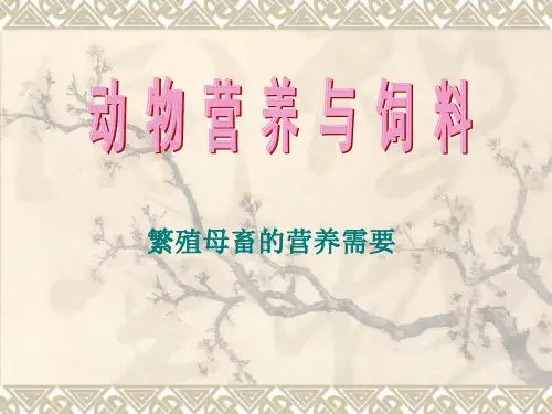 动物营养与饲料——繁殖母畜的营养需要