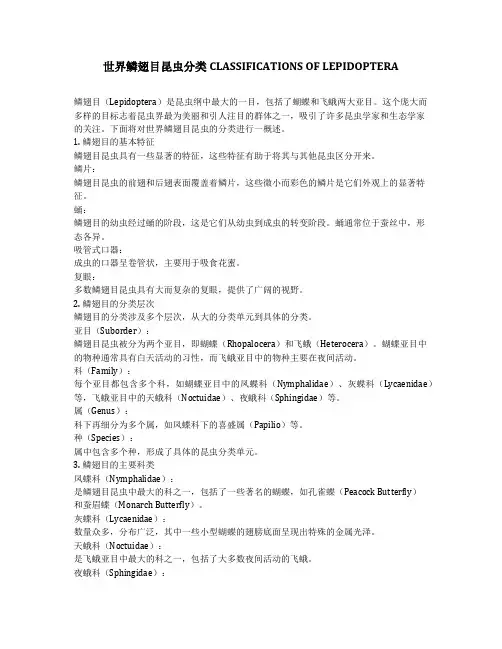 世界鳞翅目昆虫分类classifications of lepidoptera