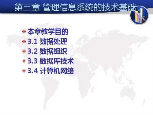 第3章_管理信息系统的技术基础1