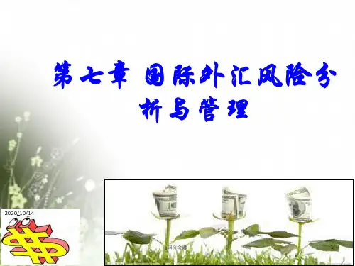 07外汇风险分析与管理