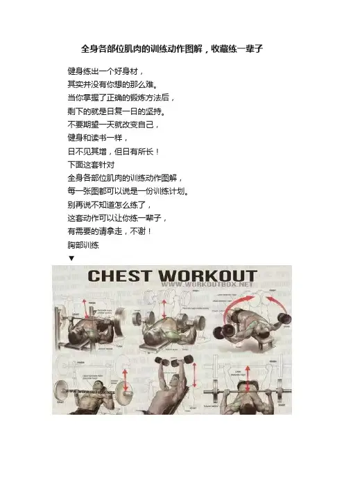 全身各部位肌肉的训练动作图解，收藏练一辈子