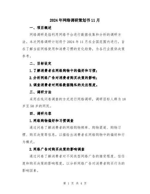 2024年网络调研策划书11月