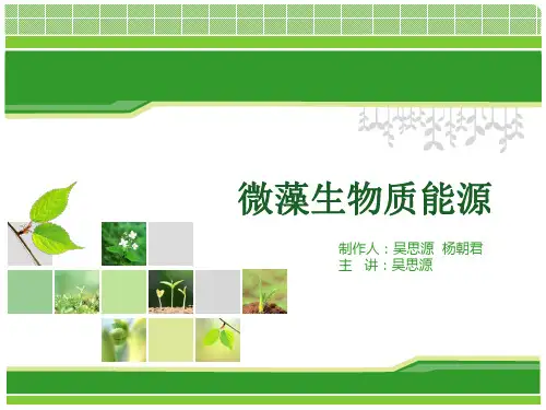 微藻生物能源1.0