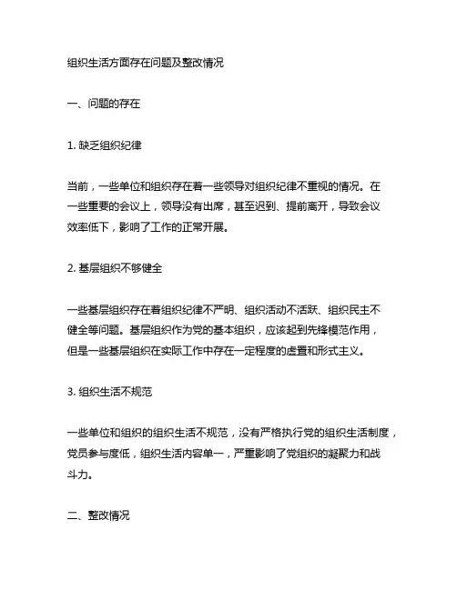 组织生活方面存在问题及整改情况