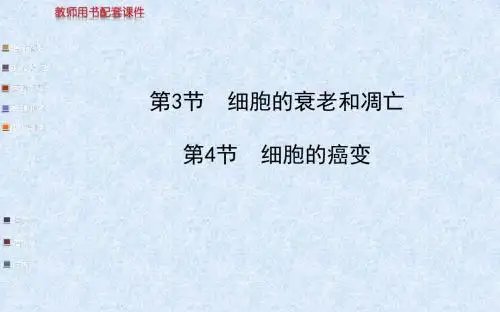 金榜生物教师用书配套课件必修1第6章 第3节 第4节 细胞的衰老和凋亡 细胞的癌变