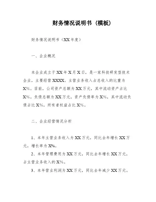 财务情况说明书 (模板)