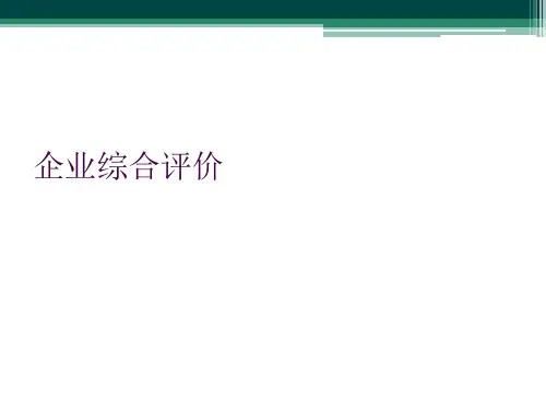 企业综合评价