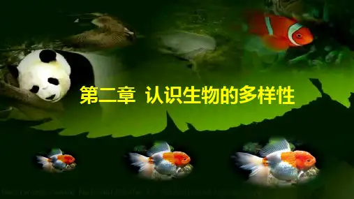 人教版初中生物八年级上册第二章 《认识生物的多样性》公开课课件