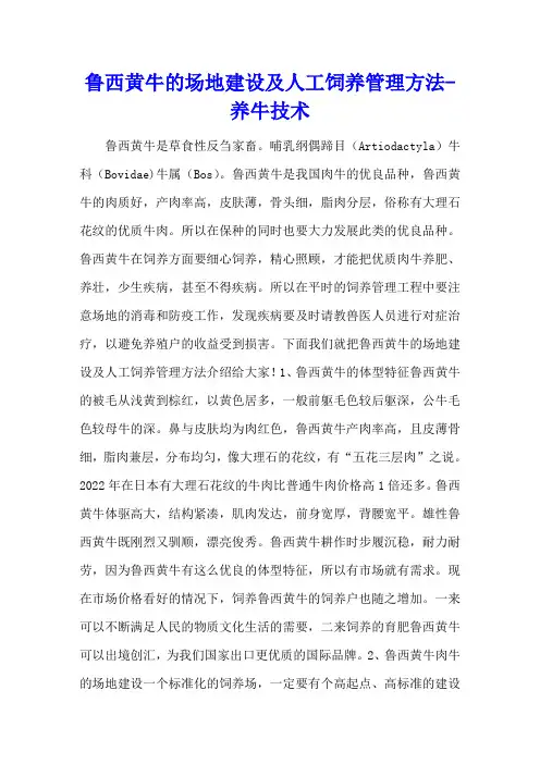 鲁西黄牛的场地建设及人工饲养管理方法 - 养牛技术