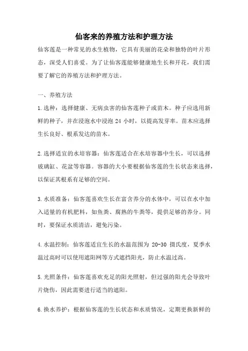 仙客来的养殖方法和护理方法