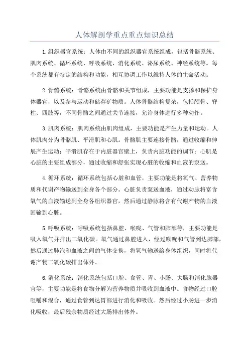 人体解剖学重点重点知识总结