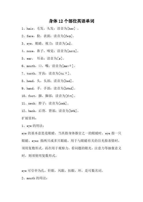 身体12个部位英语单词