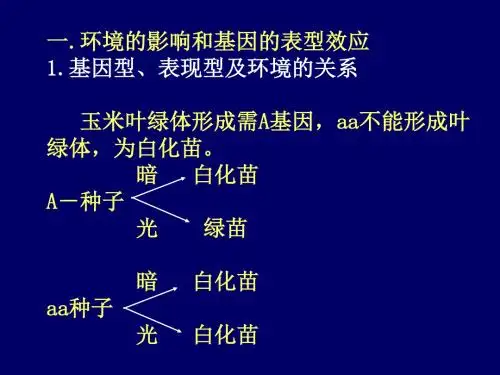基因互作
