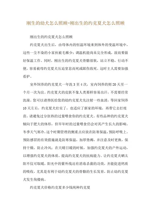 刚生的幼犬怎么照顾-刚出生的约克夏犬怎么照顾