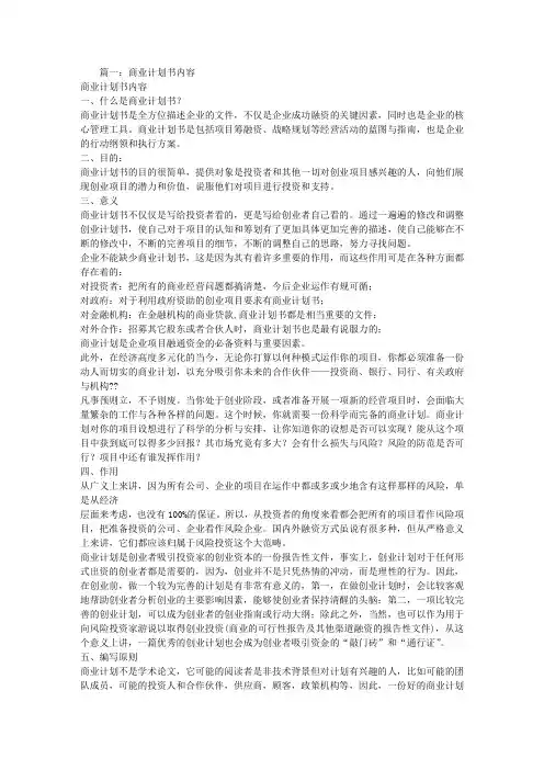 给政府的商业计划书