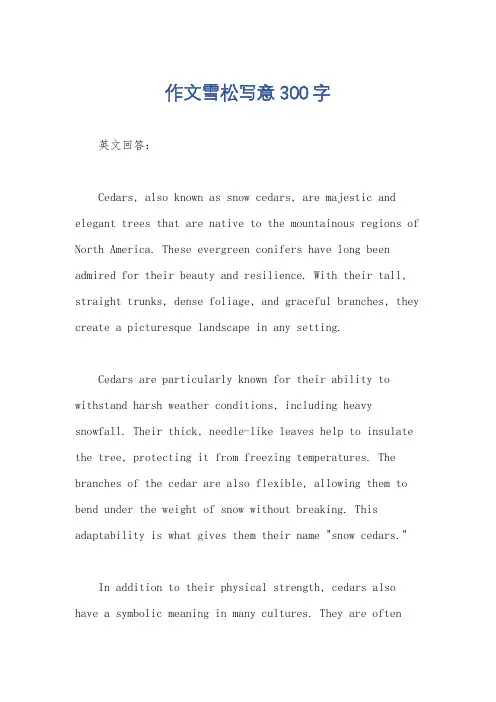 作文雪松写意300字