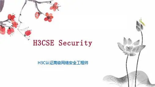 H3CSE Security