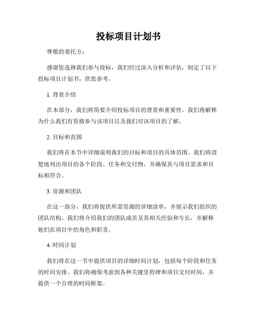 投标项目计划书
