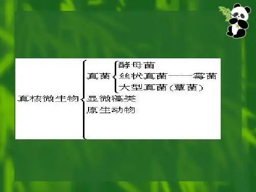 三章真核微生物上课讲义