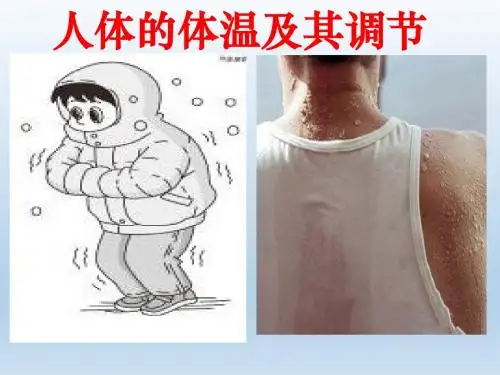 上海高考生物会考高三人的体温调节