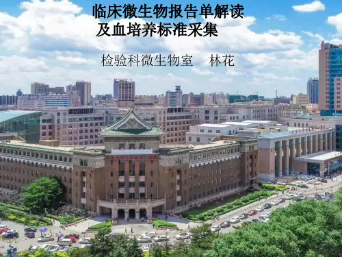 血流感染血培养标准采集- - 副本