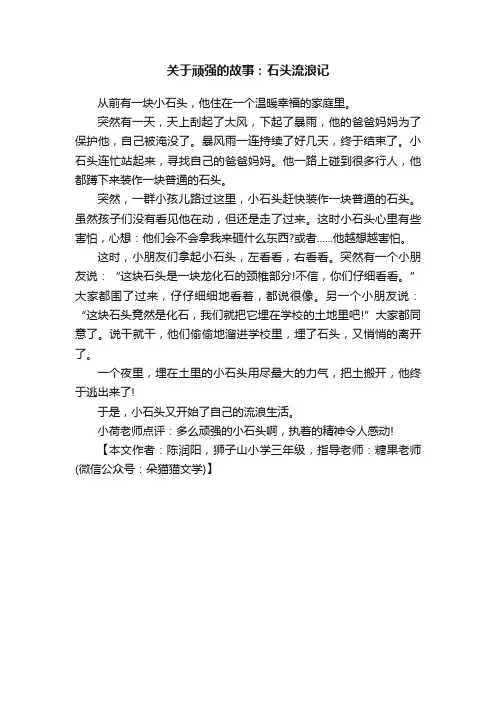 关于顽强的故事：石头流浪记