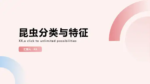 昆虫分类与特征
