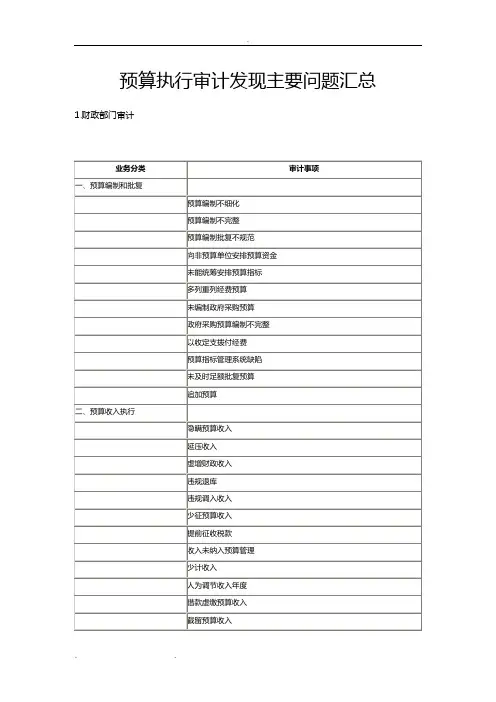 预算执行审计发现主要问题汇总