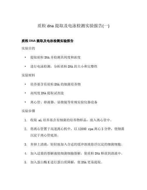 质粒dna提取及电泳检测实验报告(一)