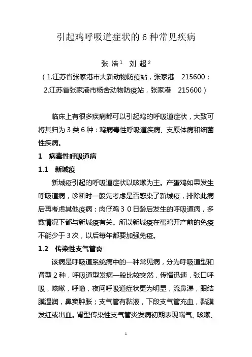 引起鸡呼吸道症状的6种常见疾病