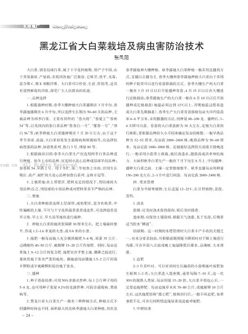 黑龙江省大白菜栽培及病虫害防治技术